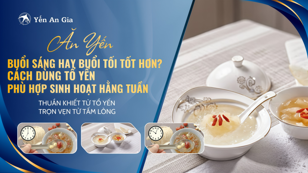 Ăn Yến Buổi Sáng Hay Buổi Tối Tốt Hơn? Cách Dùng Tổ Yến Phù Hợp Sinh Hoạt Hằng Tuần