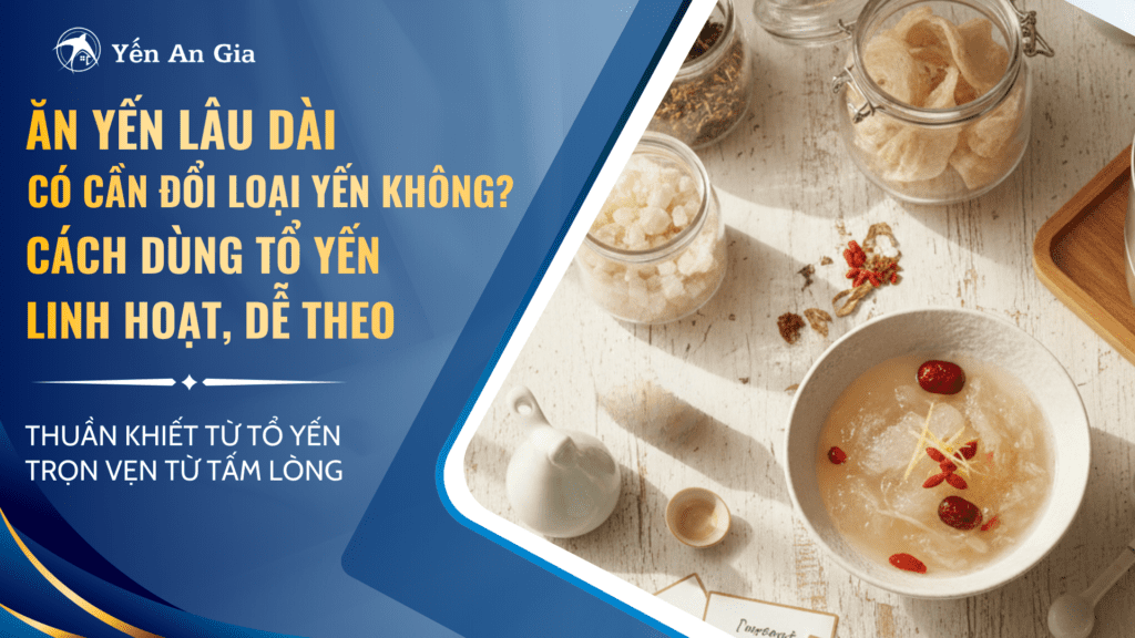 Ăn Yến lâu dài có cần đổi loại Yến không? Cách dùng tổ Yến linh hoạt, dễ theo