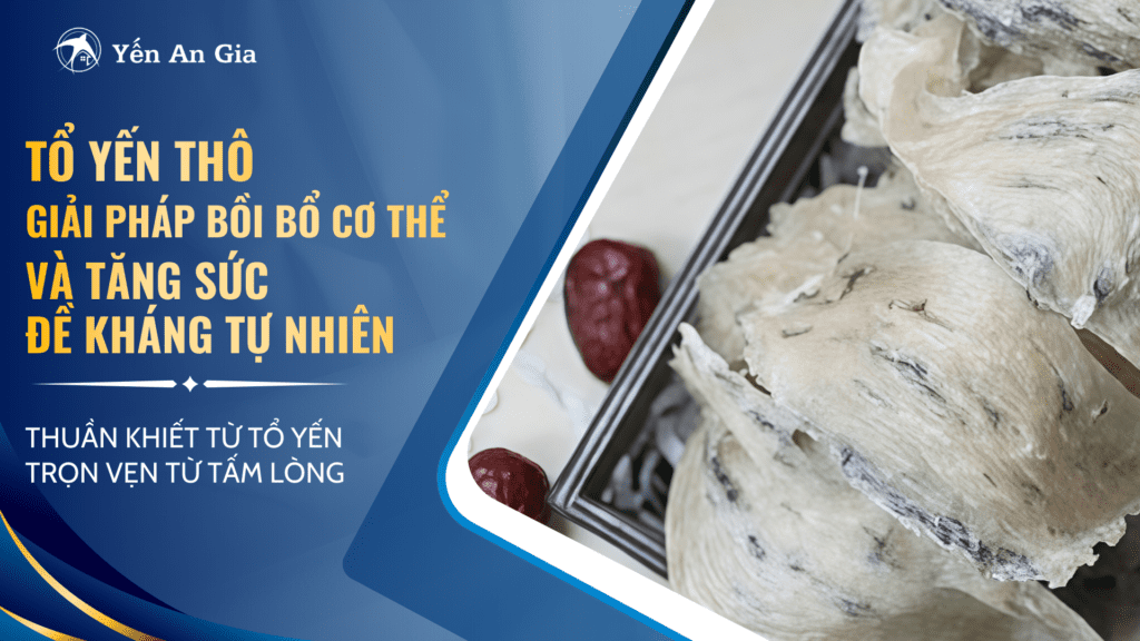 Tổ yến thô giải pháp bồi boor cơ thể Và Tăng Sức Đề Kháng Tự Nhiên