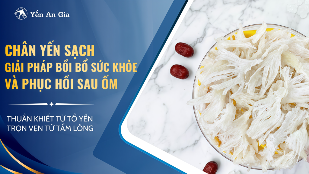 Chân Yến Sạch – Giải Pháp Bồi Bổ Sức Khỏe Và Phục Hồi Sau Ốm