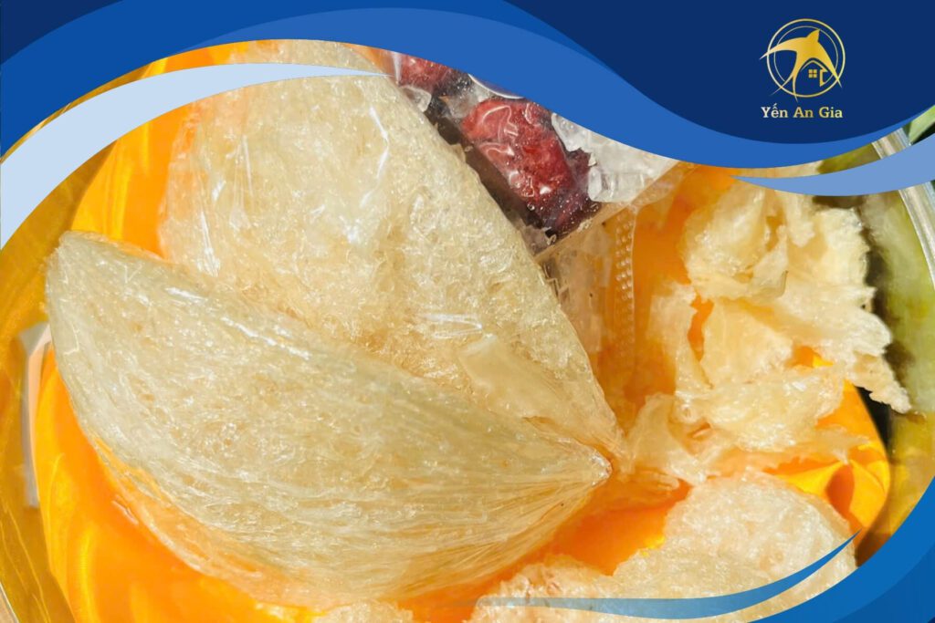 combo yến gia đình
