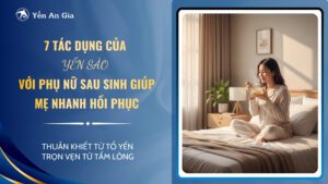 Tác dụng của yến sào với phụ nữ sau sinh
