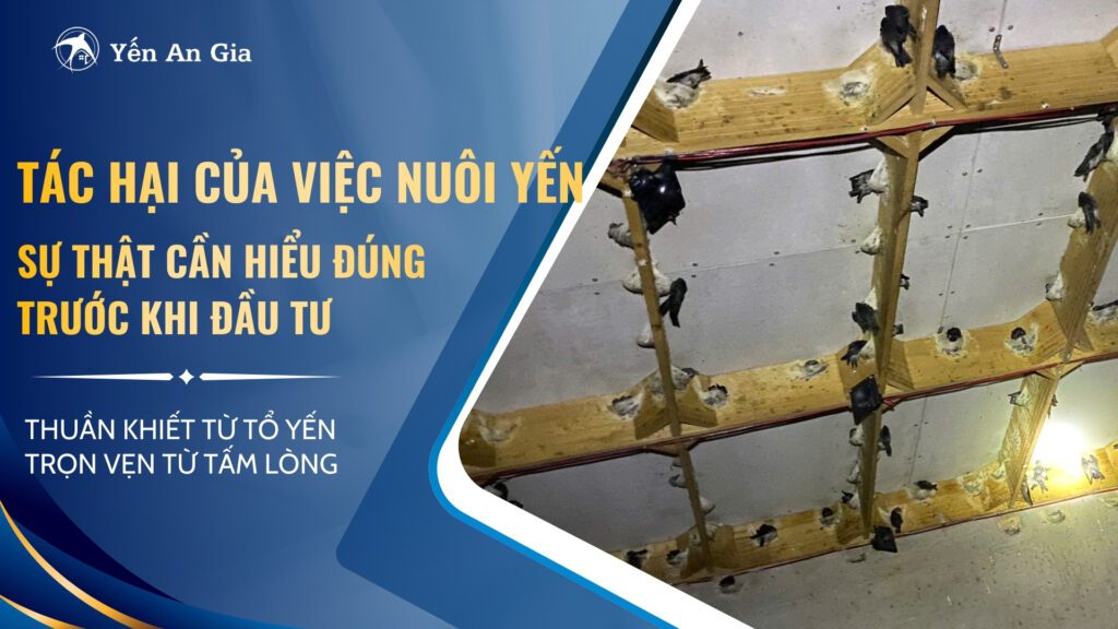 tac-hai-nuoi-yen