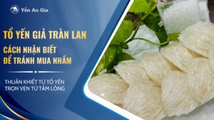 to-yen-gia-tran-lan