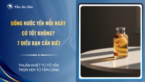 Uống nước yến mỗi ngày có tốt không trong chế độ dinh dưỡng hiện đại