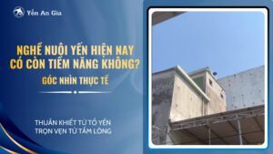 nghe-yen