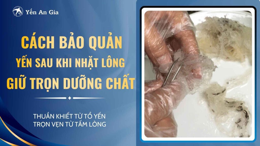 nhat-long-yen-02