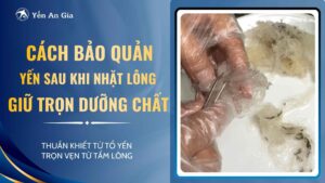 nhat-long-yen-02