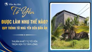 to-yen-lam-nhu-the-nao