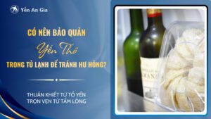 bảo quản yến thô đúng cách