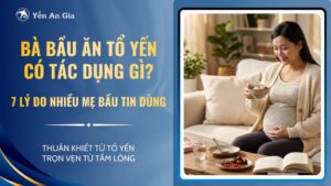 bà bầu ăn yến có tác dụng gì - đại diện