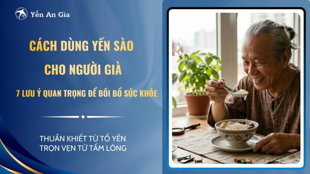 cách dùng yến sào cho người già