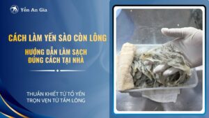 cach-so-che-to-yen-con-long