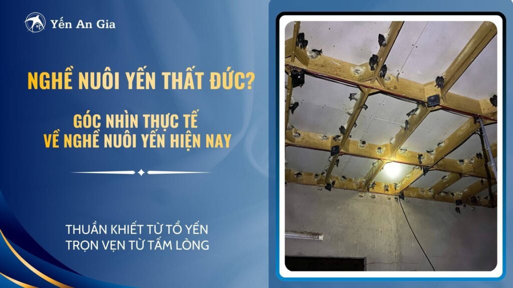 nghe-nuoi-yen-02
